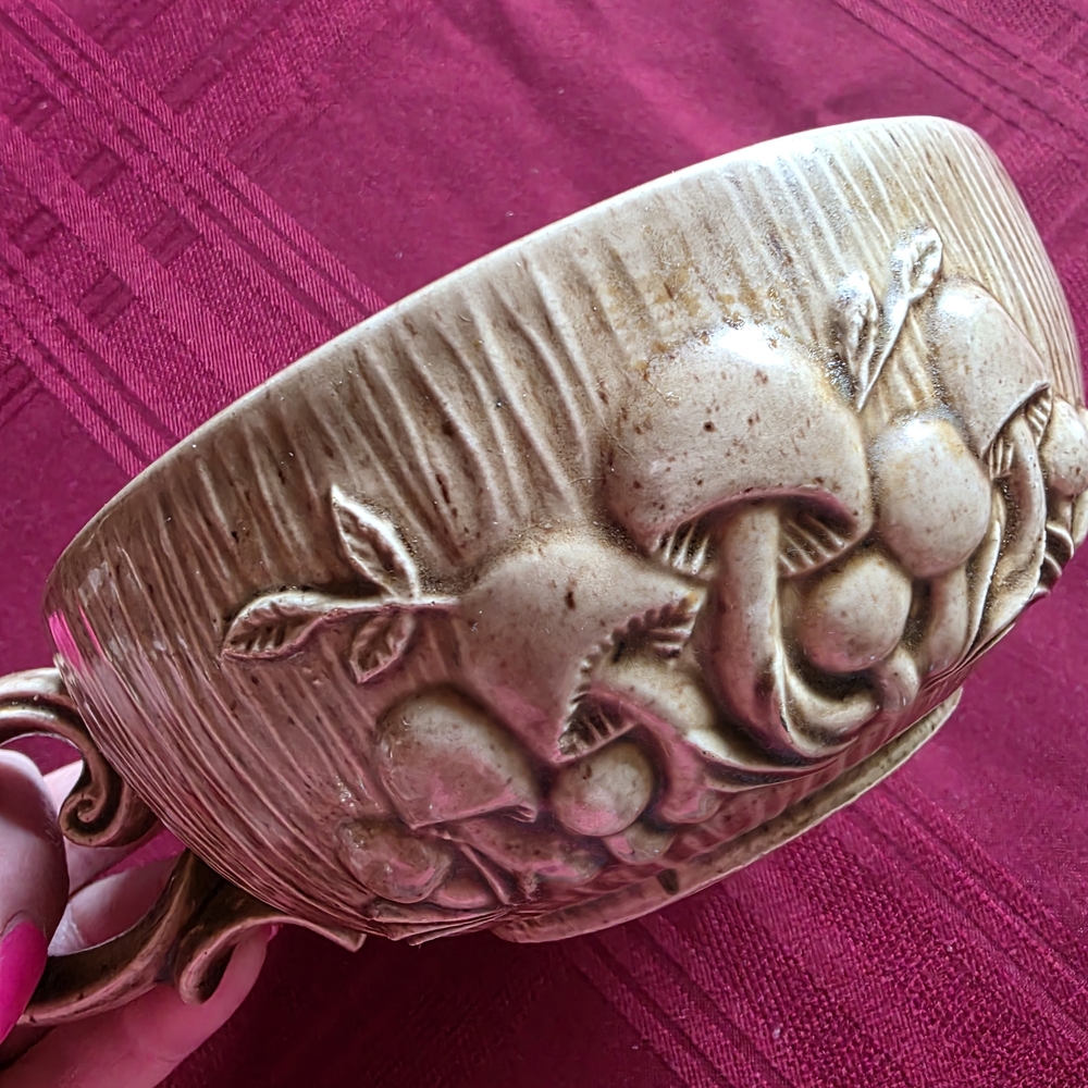 Earthy Embossed Mushroom Bowl